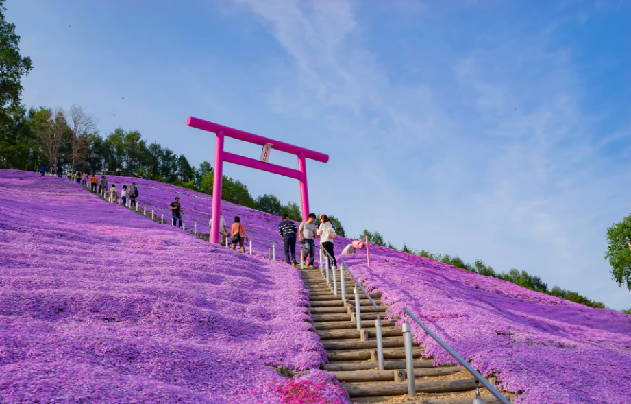 Top des lieux à visiter et des activités à faire au Japon